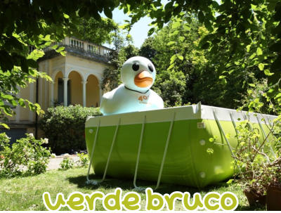 verde bruco