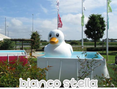 bianco stella